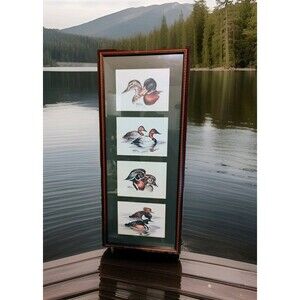 Alice Taylor Duck Prints, Signed, Numbered & Framed 1984, 4 Reflections Mallards
